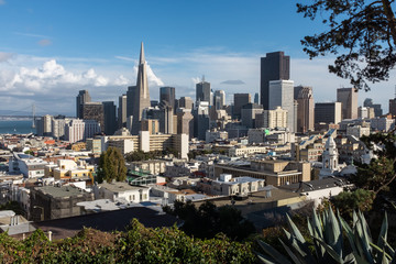 Obraz premium The view of the modern skyline of San Francisco from Russian Hill, bright blue sky, framed by trees