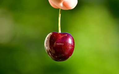 Cherry picking