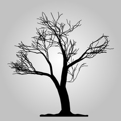 Tree icon. Forest symbol. Flat web sign on white background. Vector eps 10