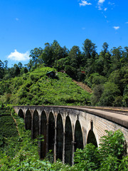 Fototapeta na wymiar Nine Arch Bridge, Ella - Sri Lanka 