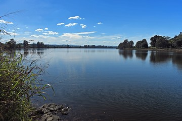 Manning River at Tinonee with grassy foreground New South Wales Australia landscape