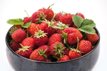 Red fresh strawberry