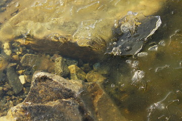 water near the stones