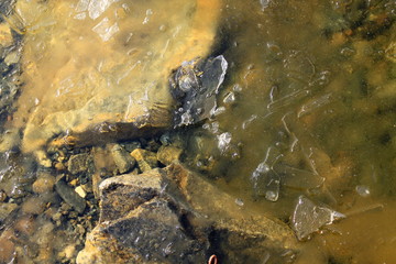 water near the stones