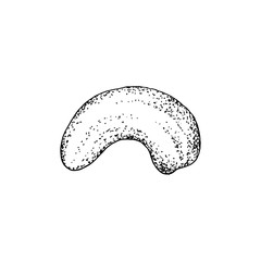 Hand drawn cashew nut isolated on white background