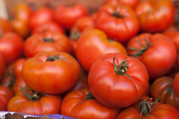 fresh tomatoes on branch in wicker baskets on counter