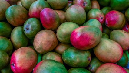 Fresh colorful tropical brazil mangoes