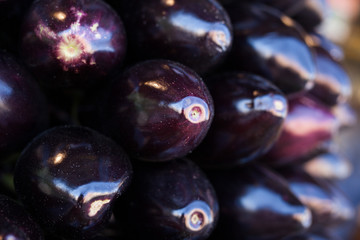 Fresh eggplant on market counter