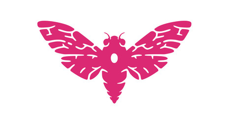 Cicada logo. Beetle. Simple cartoon design icon, emblem. Realistic silhouette. Butterfly. Flat style vector illustration.