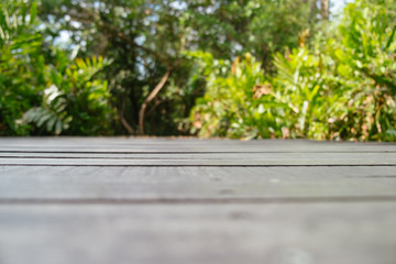 Blurred nature background pattern of dark wooden floor with lush green forest in the background. Bang Krachao, Thailand.
