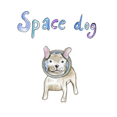 watercolor illustration with space dog.