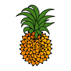 exotic pineapple fruit icon