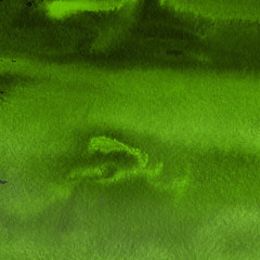 Green ink and watercolor textures on white paper background. Paint leaks and ombre effects. Hand painted abstract image.