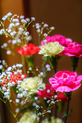 カーネーション