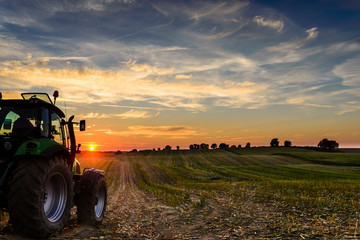 Sonnenuntergang Maisfeld © kuestenheini