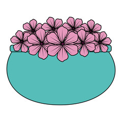 floral decoration in ceramic pot