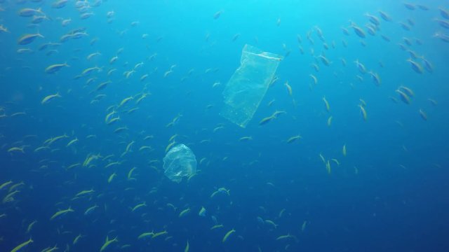 Plastic bags in ocean. Plastic pollution of environment in sea with fish 