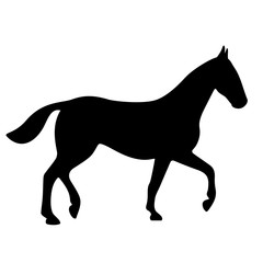 Fototapeta na wymiar Horse silhouette vector icon
