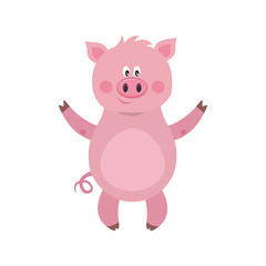 Plakat Vector illustration of cute pig cartoon isolated on white background.