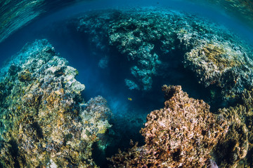 Fototapeta na wymiar Underwater view with rocks and corals in blue ocean. Menjangan island, Bali