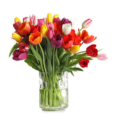 Vase with beautiful spring tulip flowers on white background