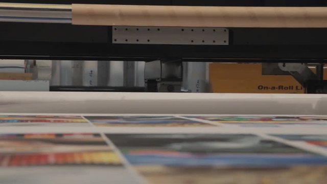 Professional  printing facility, big vinyl rolls, ready for large printer supply. Glossy, matte, ecological materials.