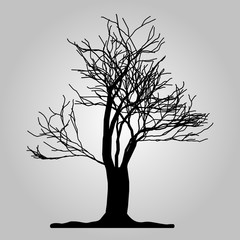 Tree icon. Forest symbol. Flat web sign on white background. Vector eps10