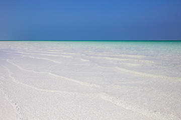 Fototapeta na wymiar Amazing Beach with White Sand Zanzibar,Tanzania