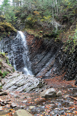 forest waterfall in mountains