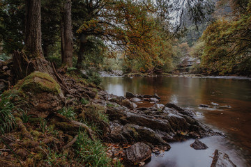 Forest lake, Betws y Coed, Snowdonia, Wales - obrazy, fototapety, plakaty