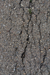 Ground rift-001