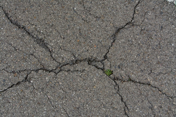 Ground rift-006