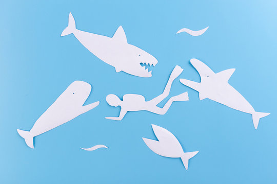 Shark attack. Life insurance concept.