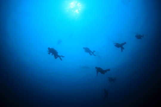 Group of Scuba divers diving in blue ocean 