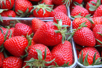 fresh strawberries in a box. Red strawberries pattern in market box background