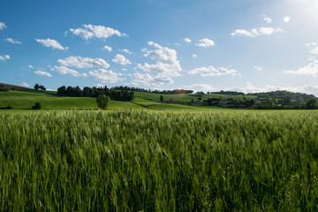 Colorful countryside in Italy