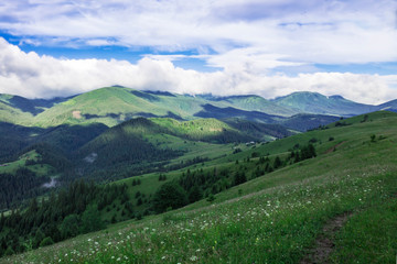 Naklejka na ściany i meble Scenic summer or spring mountain view with cloudy sky. Ukraine, Carpathians, Dzembronia High mountains in vivid color. Nobody. Beautiful mountain lanscape or valley.