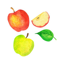 Set of fresh red and green apple and fruit slices isolated on white background. Hand drawn watercolor illustration. 