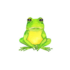 Cute green wild frog collection isolated on white background. Hand drawn watercolor illustration. 