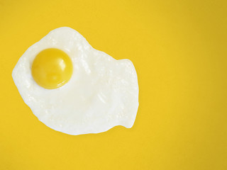 Isolated fried egg
