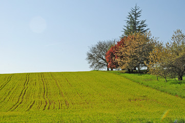 Le colline attorno al villaggio di Vezelay, - Borgogna, Francia