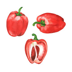 Set of fresh red peppers isolated on white background. Hand drawn watercolor illustration. 