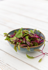 Organic Micro Beet Bull's Blood Greens 