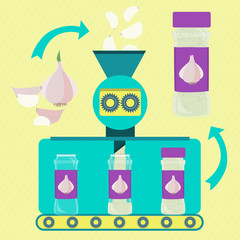 Garlic powder line series production. Factory of garlic powder. Fresh garlic clove being processed. Bottled garlic powder.