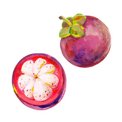 Gouache purple mangosteen fruit. Hand-drawn clipart for art work and weddind design.