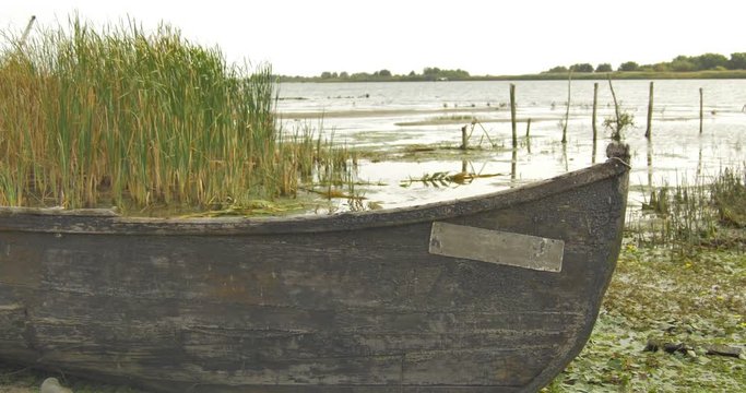 Authentic Landscape of the Danube Delta 