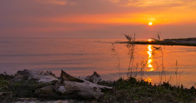 Sunset in the Danube Delta, Sacalin Island, Romania