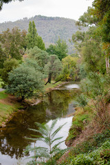 Trees along the Ovens River at Bright in the alpine high country region in Victoria Australia