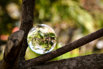 Close Up Crystal Ball on a Coconut Palm Trees in the Background - 265475823