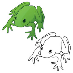 Frog in both green tone color and black outline version isolated vector illustration